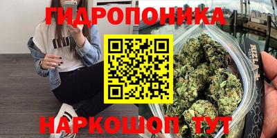 ECSTASY Обнинск